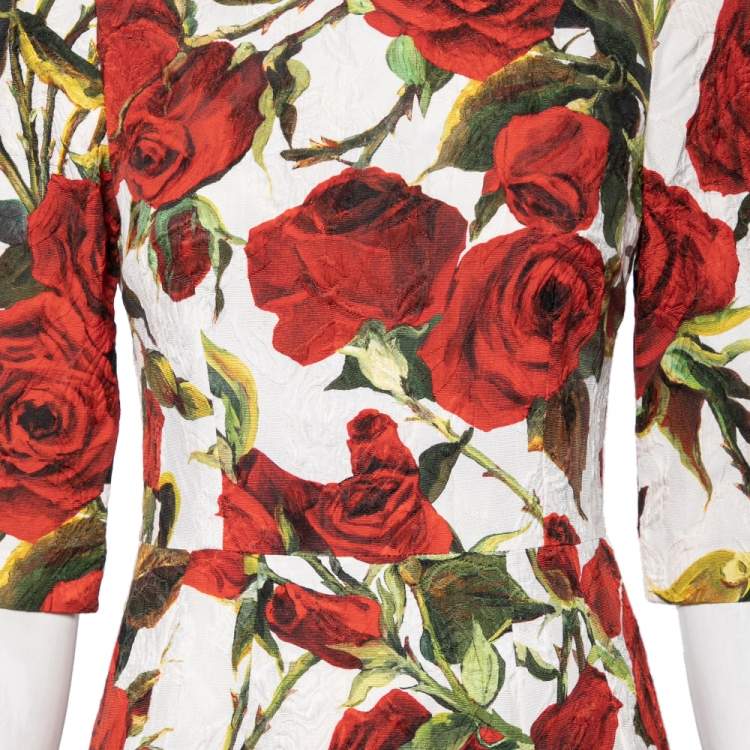 Pre Owned Dolce & Gabbana Multicolor Rose Printed Cotton & Silk Sheath Dress S