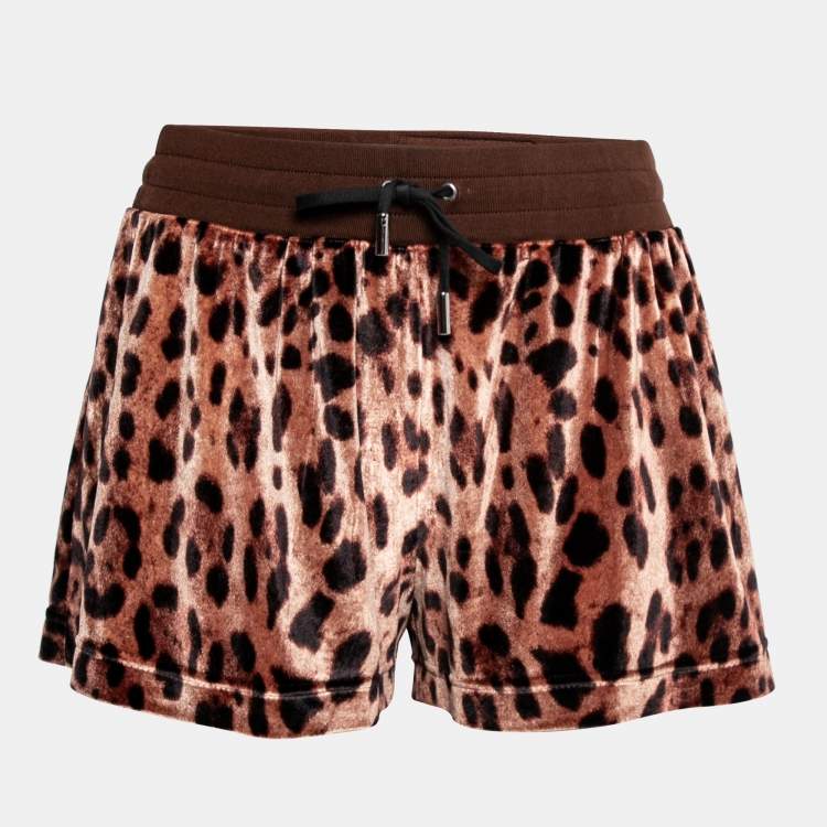 Pre Owned Dolce & Gabbana Brown Animal Print Velvet Shorts M