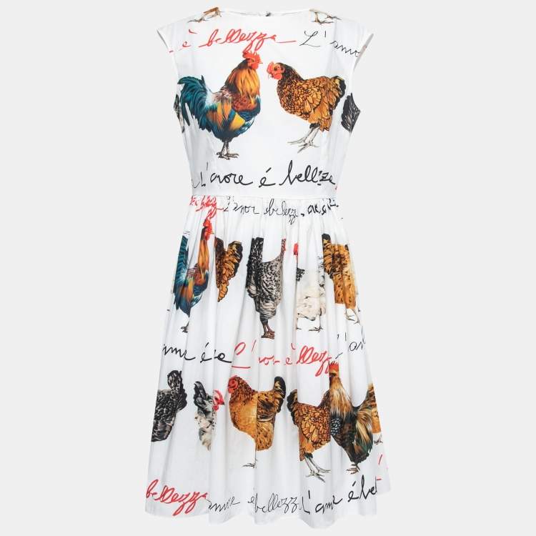 Pre Owned Dolce & Gabbana White Rooster Print Cotton A-line Dress L