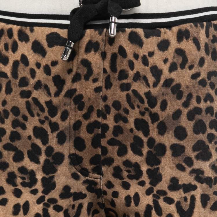 Pre Owned Dolce & Gabbana Black/Brown Animal Print Cotton Knit Joggers S