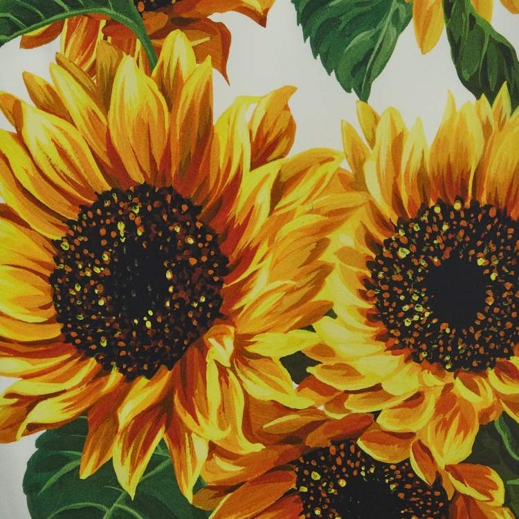 Pre Owned Dolce & Gabbana White/Yellow Sunflower Printed Silk Skirt 2XL
