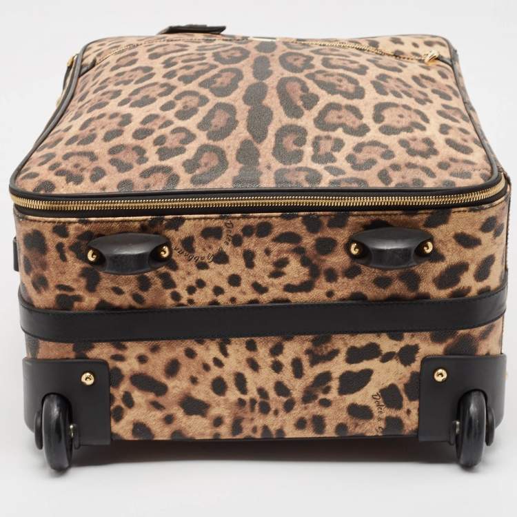 Pre Owned Dolce & Gabbana Brown Leopard Print Coated Canvas Trolley Luggage