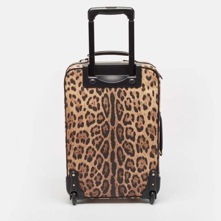 Pre Owned Dolce & Gabbana Brown Leopard Print Coated Canvas Trolley Luggage