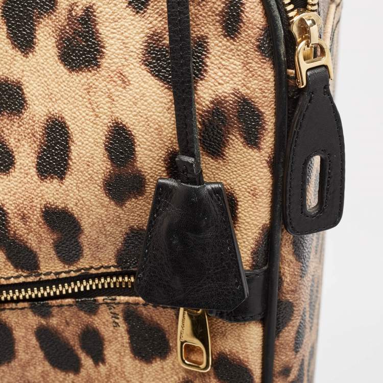 Pre Owned Dolce & Gabbana Brown Leopard Print Coated Canvas Trolley Luggage