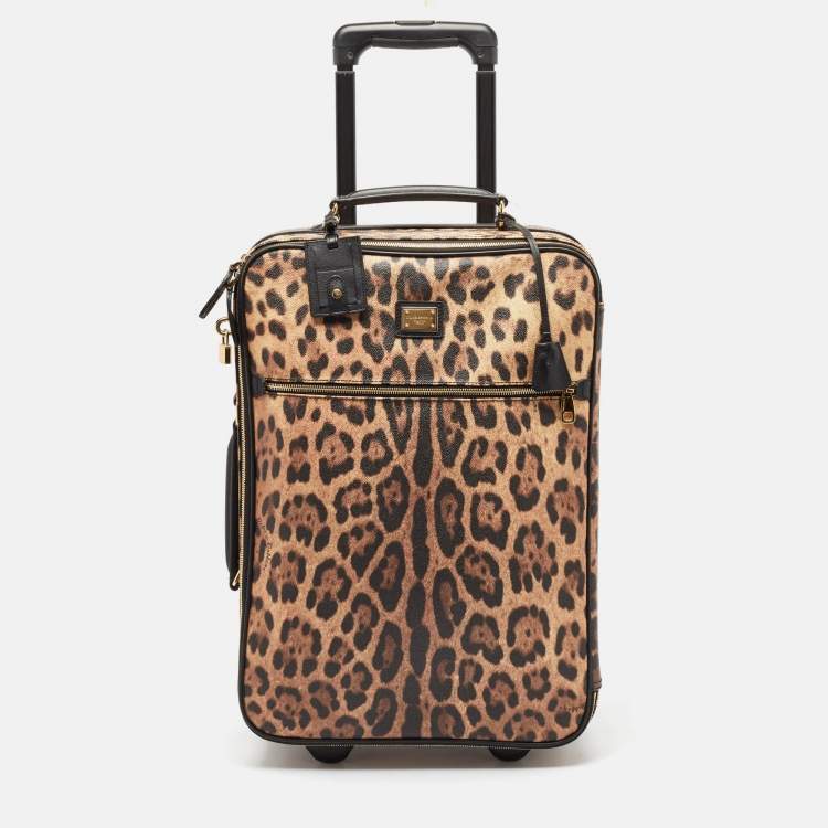 Pre Owned Dolce & Gabbana Brown Leopard Print Coated Canvas Trolley Luggage
