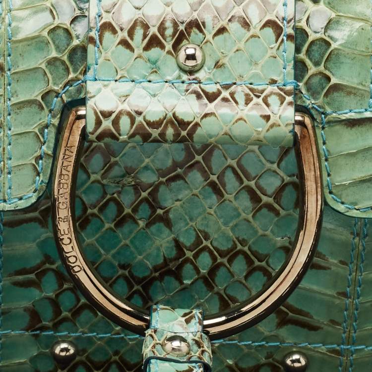 Pre Owned Dolce & Gabbana Green Python Chain Clutch