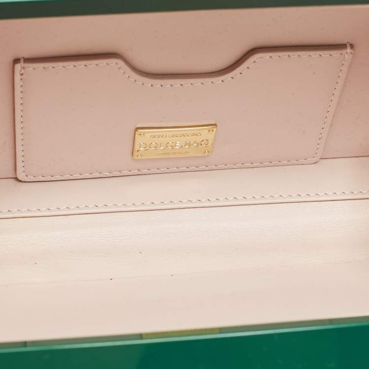 Pre Owned Dolce & Gabbana Green Resin Color Pencil Box Clutch
