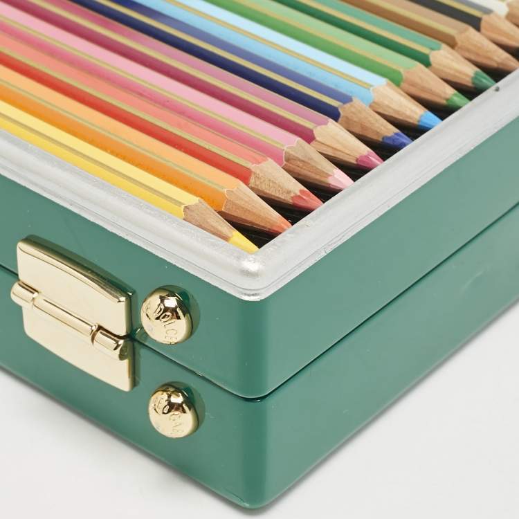 Pre Owned Dolce & Gabbana Green Resin Color Pencil Box Clutch