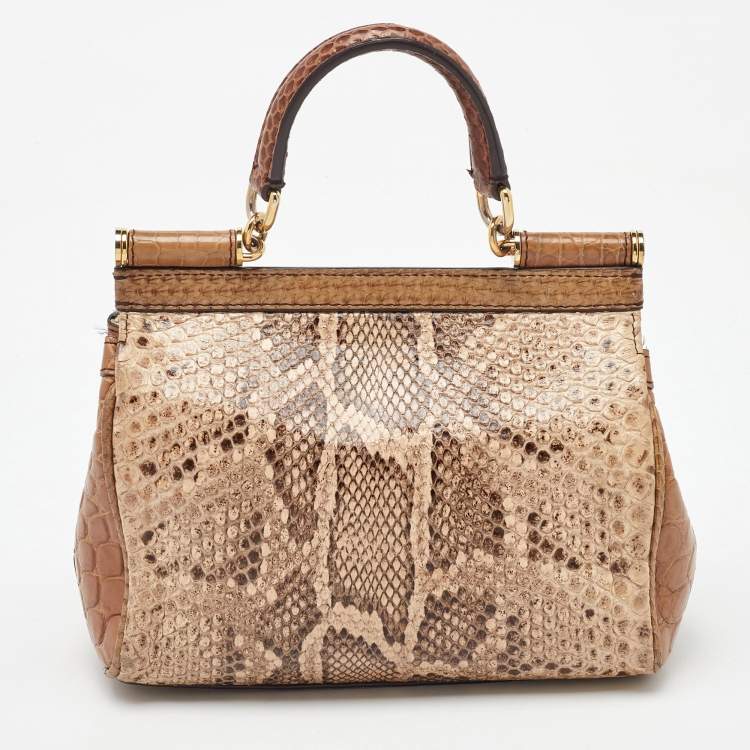Pre Owned Dolce & Gabbana Brown/Beige Crocodile and Python Small Miss Sicily Top Handle Bag