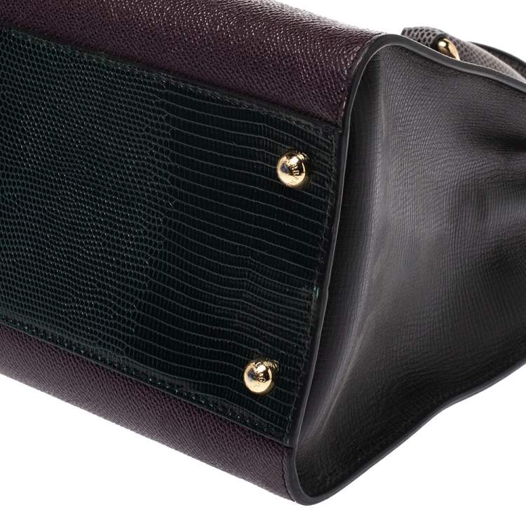 Pre Owned Dolce & Gabbana Multicolor Leather and Lizard Embossed Leather Tote