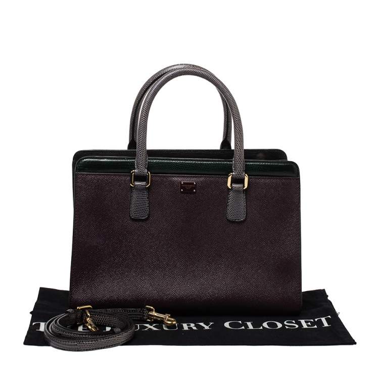 Pre Owned Dolce & Gabbana Multicolor Leather and Lizard Embossed Leather Tote