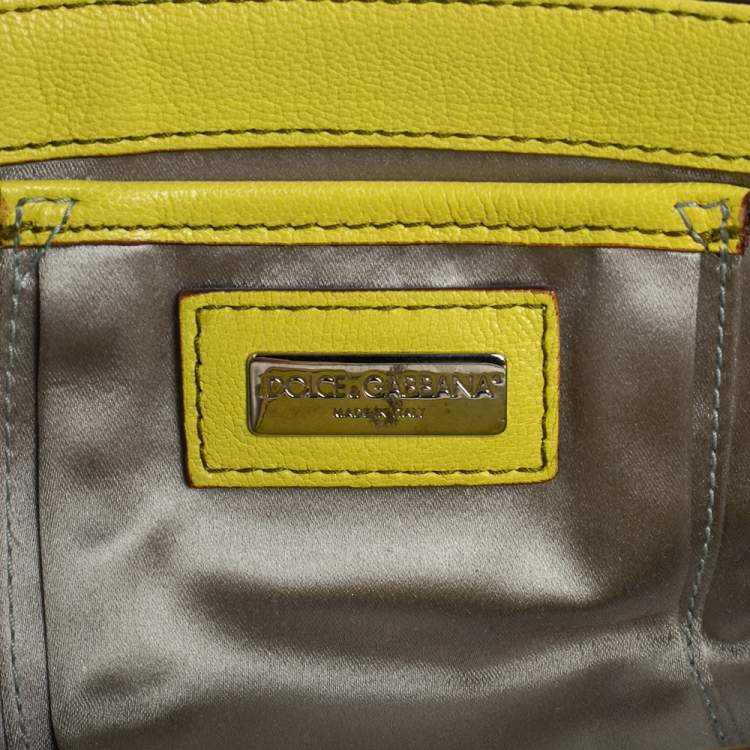 Pre Owned Dolce & Gabbana Multicolor Leather and Calfhair Miss Sexy Baguette Bag