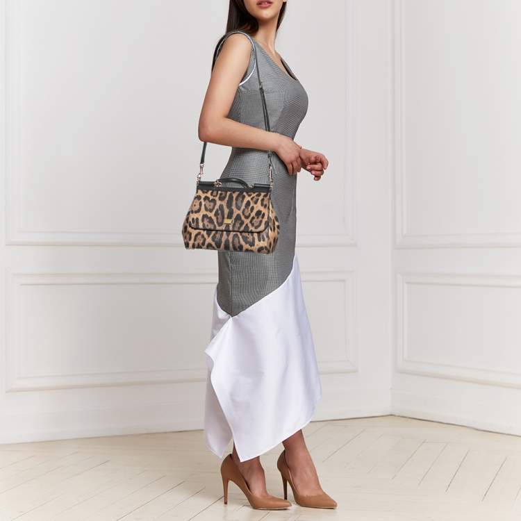 Pre Owned Dolce & Gabbana Brown Leopard Print Coated Canvas and Leather Medium Miss Sicily Top Handle Bag