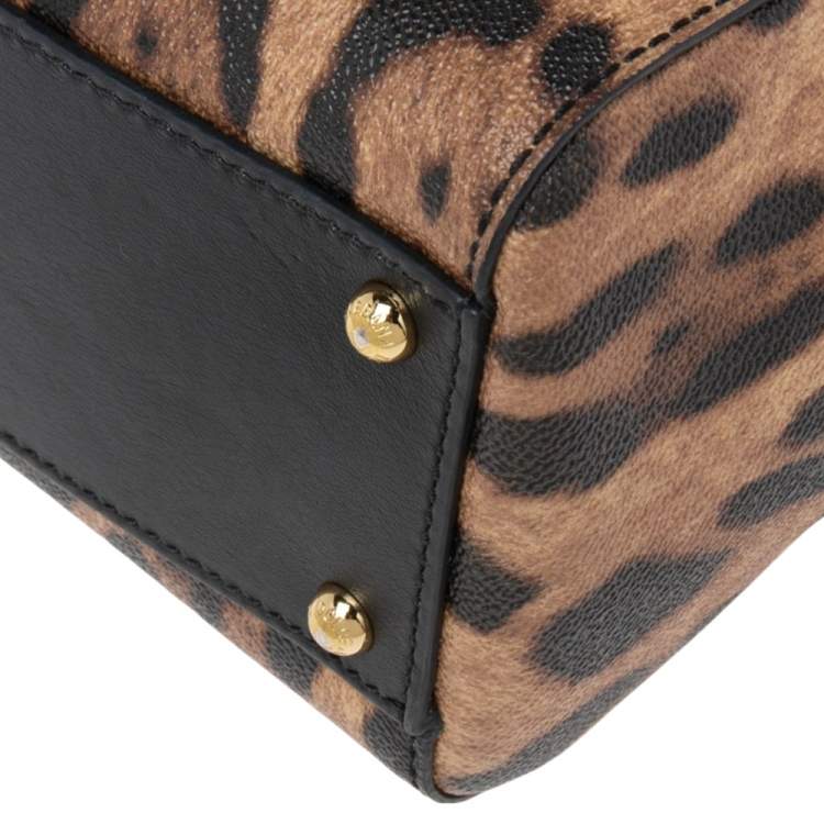 Pre Owned Dolce & Gabbana Brown Leopard Print Coated Canvas and Leather Medium Miss Sicily Top Handle Bag