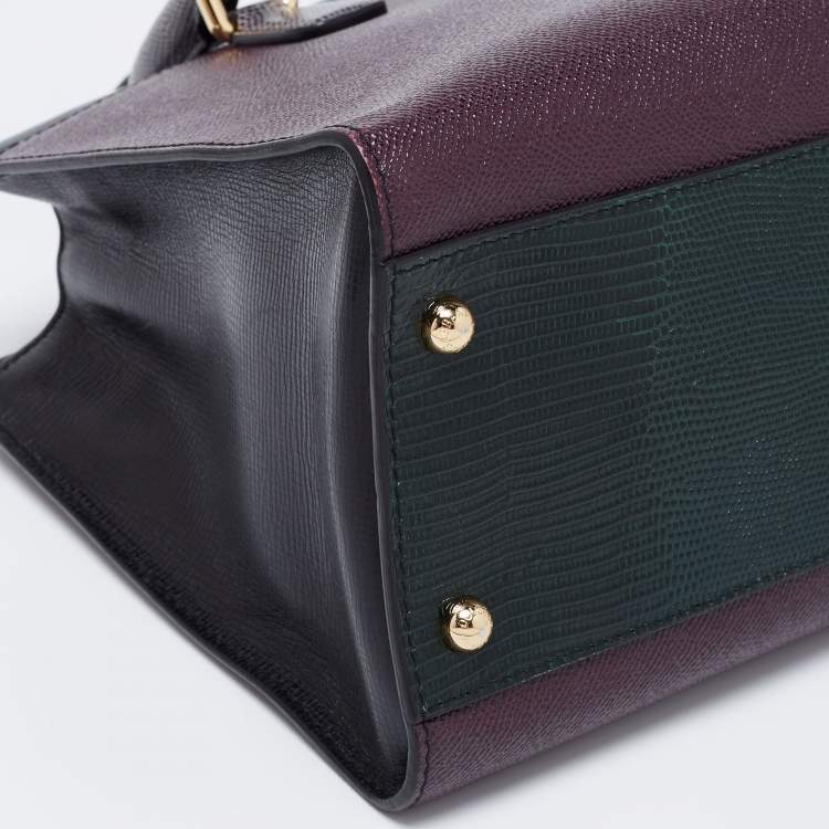 Pre Owned Dolce & Gabbana Multicolor Leather And Lizard Embossed Leather Tote