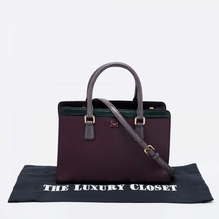 Pre Owned Dolce & Gabbana Multicolor Leather And Lizard Embossed Leather Tote