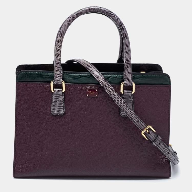 Pre Owned Dolce & Gabbana Multicolor Leather And Lizard Embossed Leather Tote