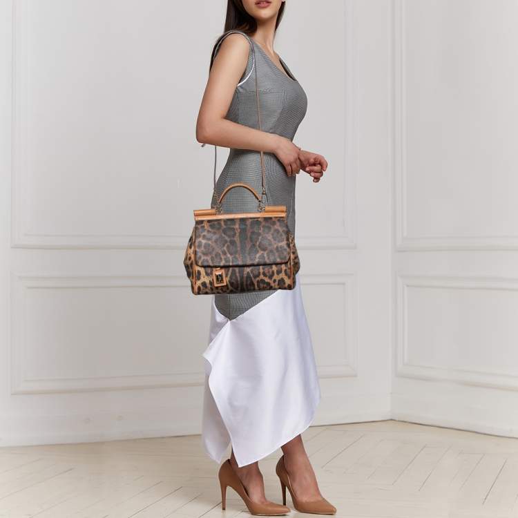 مملوكة مسبقًا Dolce & Gabbana Brown Leopard Coated Canvas and Leather Large Miss Sicily Top Handle Bag