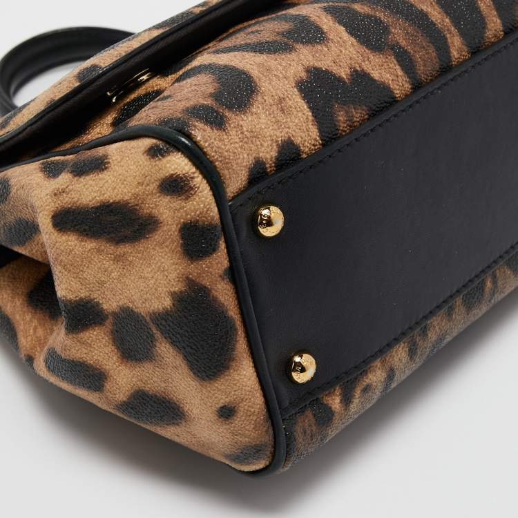 Pre Owned Dolce & Gabbana Black Leopard Print Coated Canvas and Leather Medium Miss Sicily Top Handle Bag
