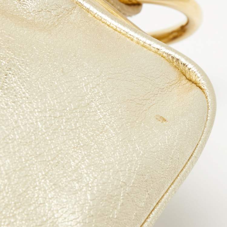 Pre Owned Dolce & Gabbana Metallic Gold Leather Double Zip Camera Bag