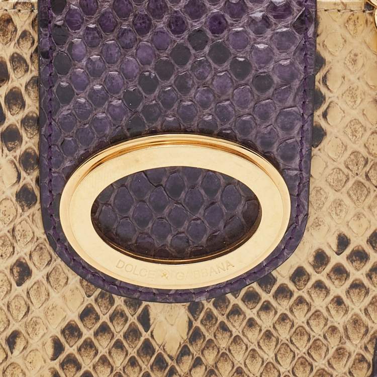 Pre Owned Dolce & Gabbana Beige/Purple Python Chain Coin Purse