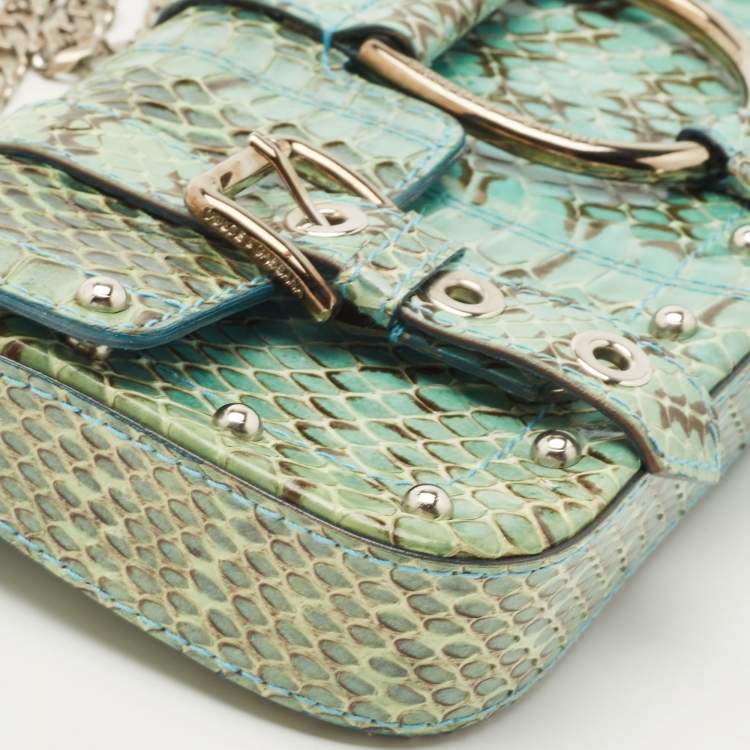Pre Owned Dolce & Gabbana Green/Blue Python Chain Clutch