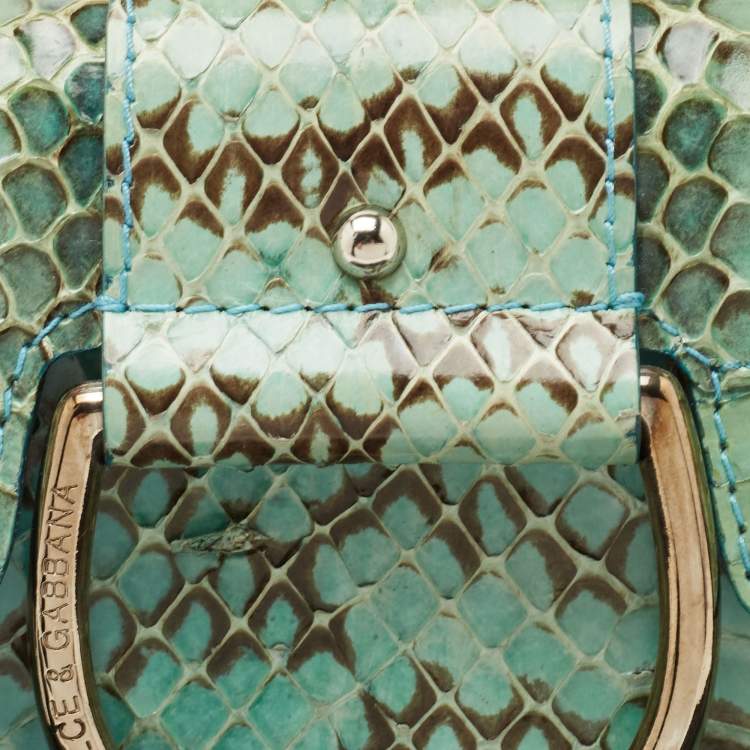 Pre Owned Dolce & Gabbana Green/Blue Python Chain Clutch