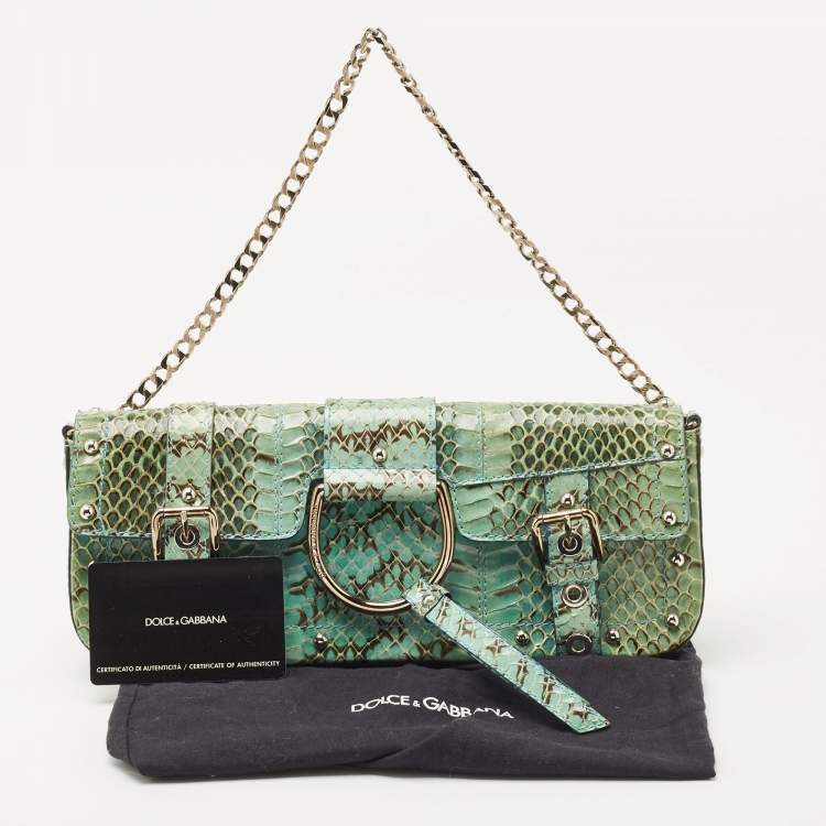 Pre Owned Dolce & Gabbana Green/Blue Python Chain Clutch