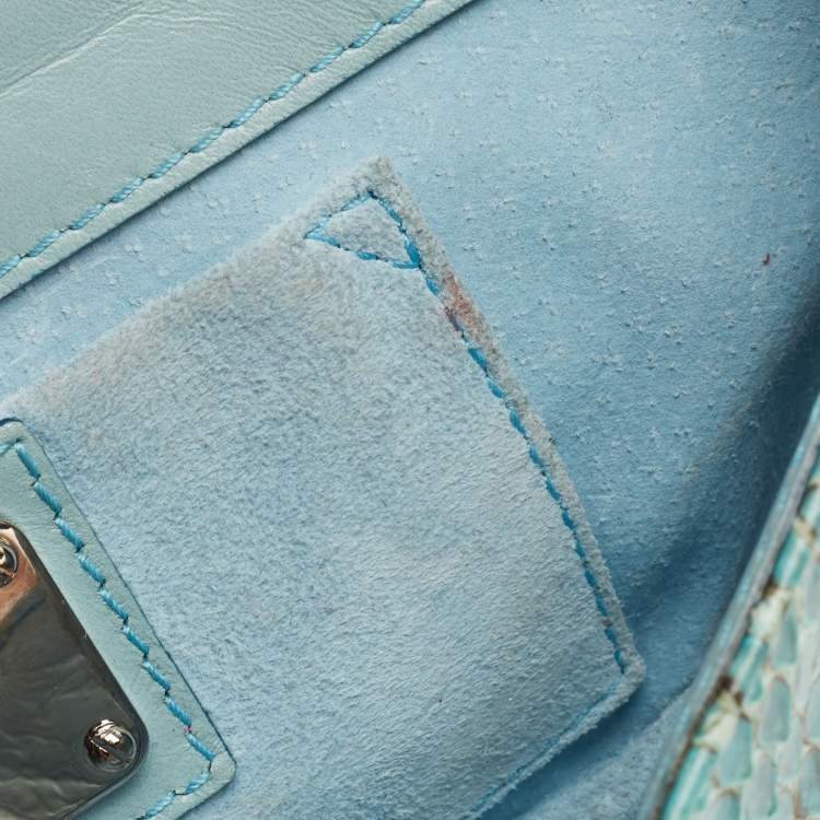 Pre Owned Dolce & Gabbana Green/Blue Python Chain Clutch