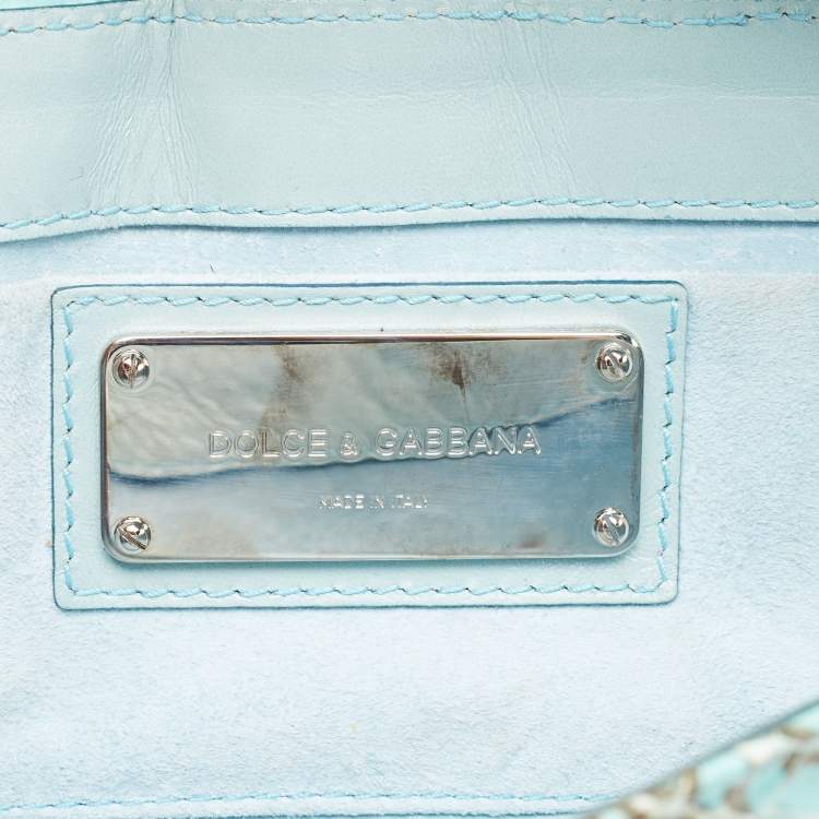 Pre Owned Dolce & Gabbana Green/Blue Python Chain Clutch