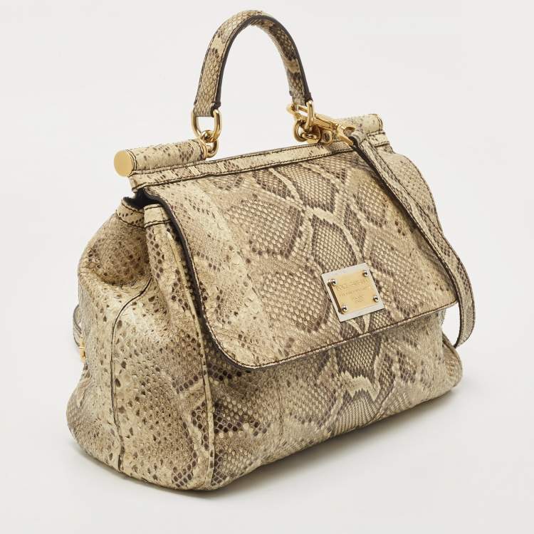 Pre Owned Dolce & Gabbana Cream Python Large Miss Sicily Top Handle Bag