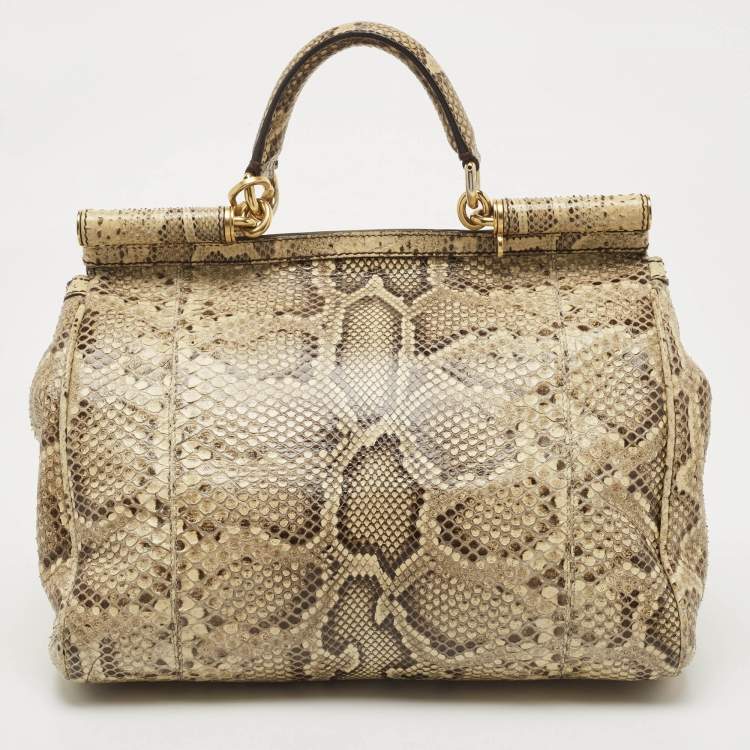 Pre Owned Dolce & Gabbana Cream Python Large Miss Sicily Top Handle Bag