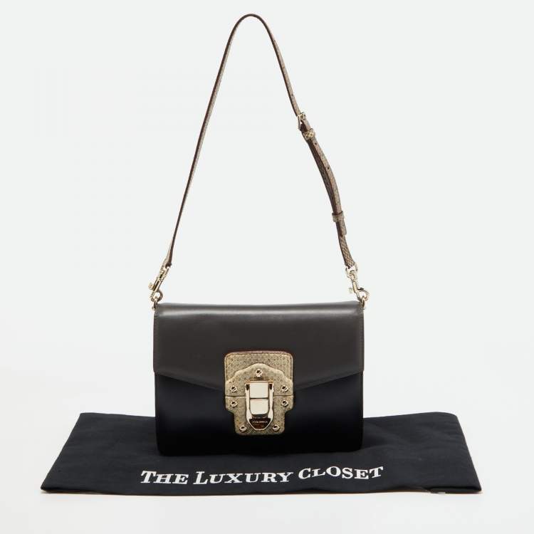 Pre Owned Dolce & Gabbana Multicolor Watersnake Leather Lucia Shoulder Bag