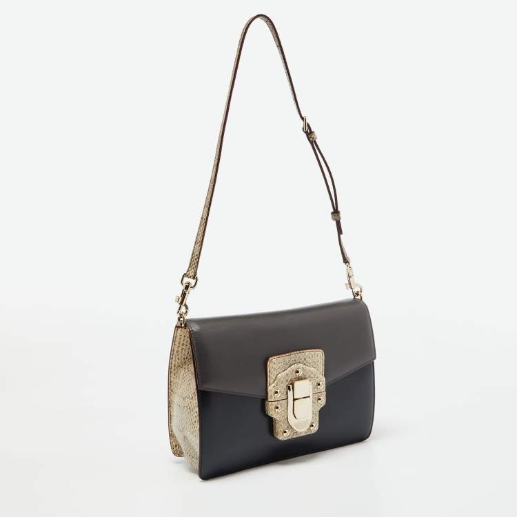Pre Owned Dolce & Gabbana Multicolor Watersnake Leather Lucia Shoulder Bag