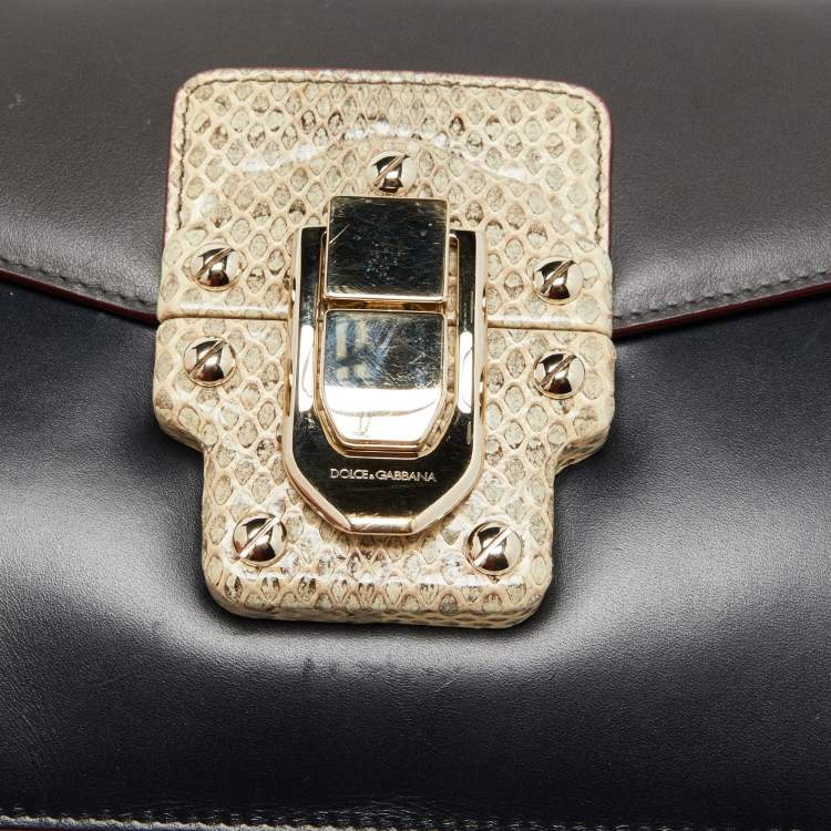 Pre Owned Dolce & Gabbana Multicolor Watersnake Leather Lucia Shoulder Bag
