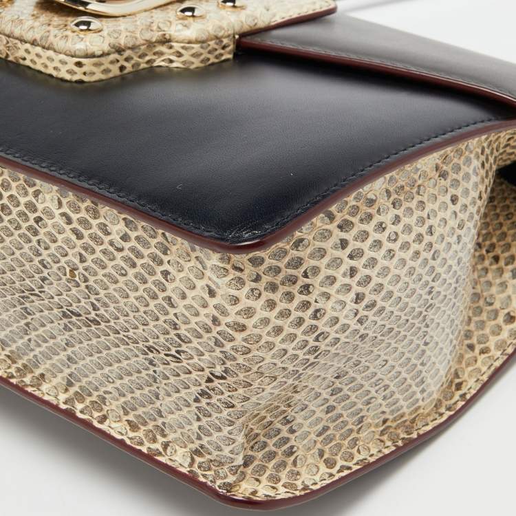 Pre Owned Dolce & Gabbana Multicolor Watersnake Leather Lucia Shoulder Bag