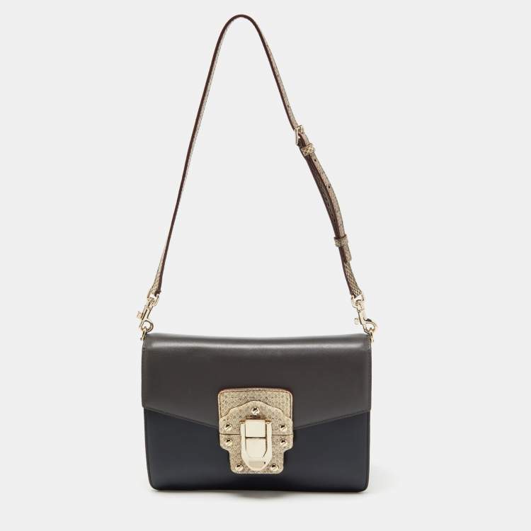 Pre Owned Dolce & Gabbana Multicolor Watersnake Leather Lucia Shoulder Bag
