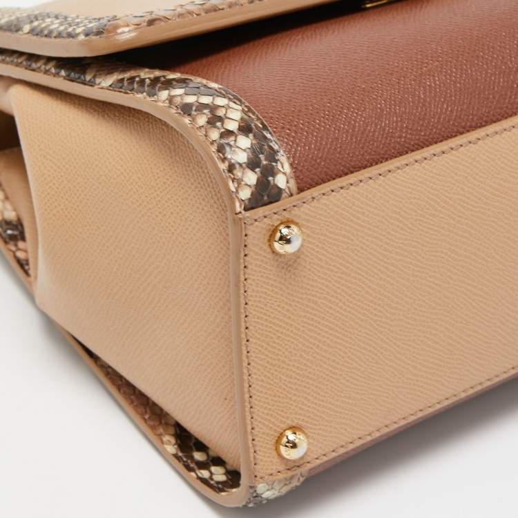 Pre Owned Dolce & Gabbana Multicolor Leather and Python Medium Miss Monica Top Handle Bag