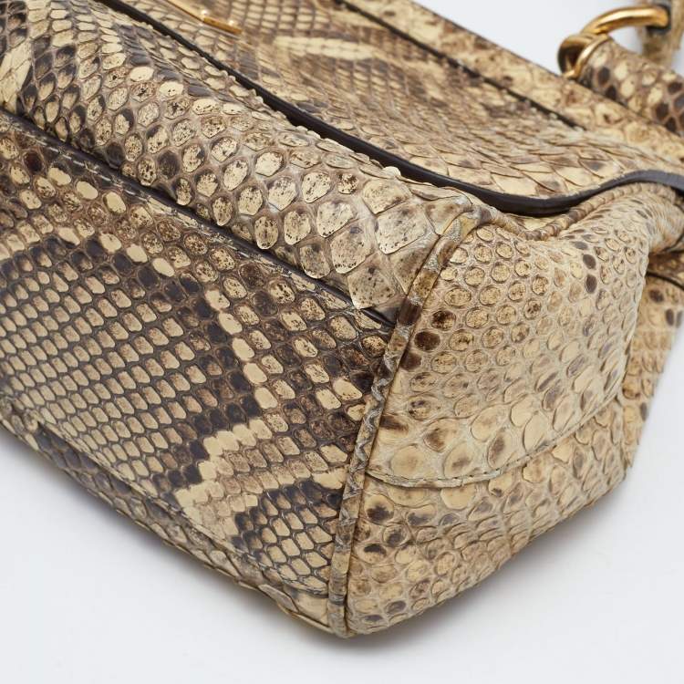 Pre Owned Dolce & Gabbana Beige/Brown Python Medium Miss Sicily Top Handle Bag