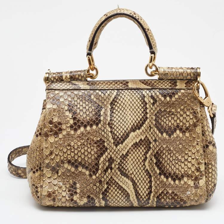Pre Owned Dolce & Gabbana Beige/Brown Python Medium Miss Sicily Top Handle Bag
