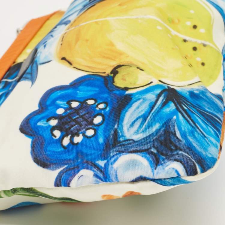 Pre Owned Dolce & Gabbana Multicolor Print Nylon Zip Pouch