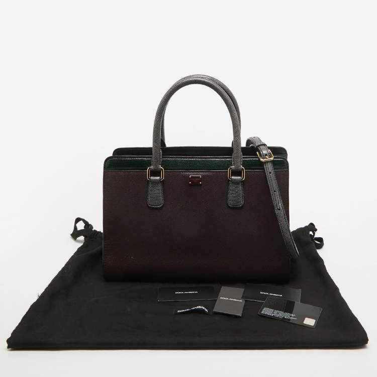 Pre Owned Dolce & Gabbana Tricolor Lizard Embossed Leather Zip Tote