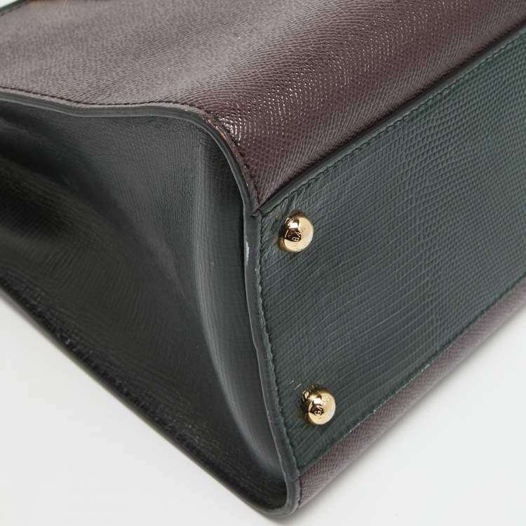 Pre Owned Dolce & Gabbana Tricolor Lizard Embossed Leather Zip Tote