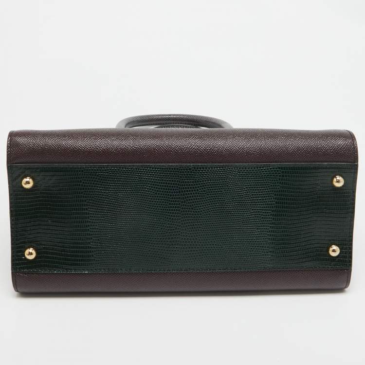 Pre Owned Dolce & Gabbana Tricolor Lizard Embossed Leather Zip Tote