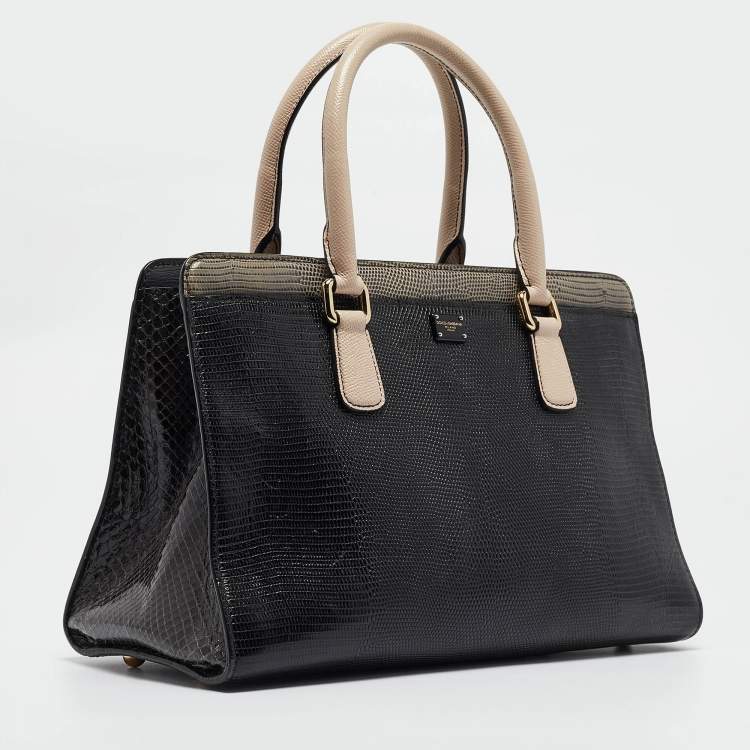 Pre Owned Dolce & Gabbana Tricolor Lizard Embossed Leather and Snakeskin Tote