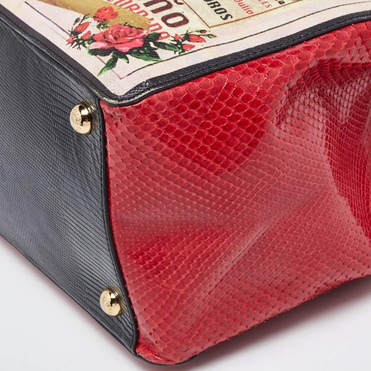 Pre Owned Dolce & Gabbana Multicolor Python,Alligator and Leather A Los Toros Tote