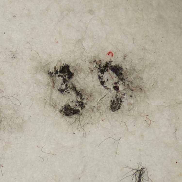 Pre Owned Dolce & Gabbana Ns1 Size 39 Red Fabric and Leather Lace Up Sneakers