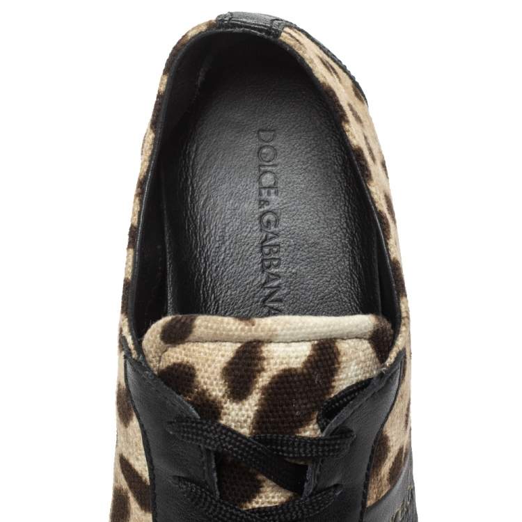 Pre Owned Dolce & Gabbana Brown/Black Leopard  Print Canvas And Leather Canvas Low Top Sneakers Size 36