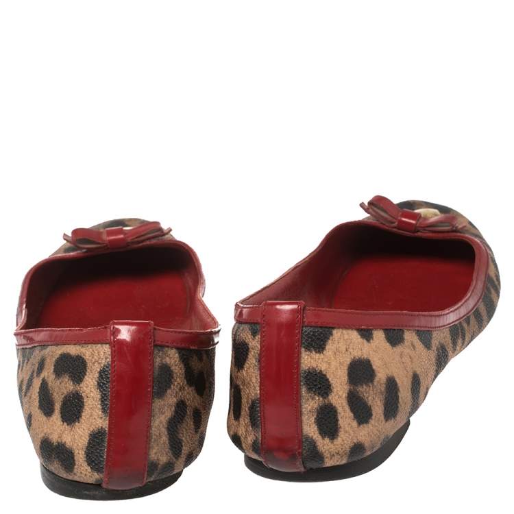 مملوكة مسبقًا Dolce & Gabbana Brown Leopard Print Coated Canvas and Patent Leather Bow Detail Ballet Flats Size 39