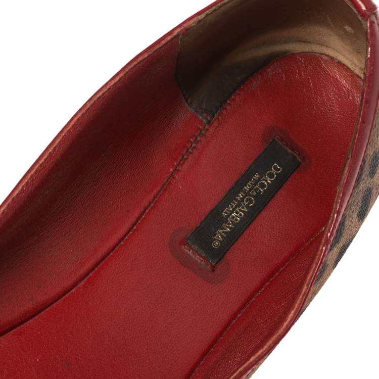مملوكة مسبقًا Dolce & Gabbana Brown Leopard Print Coated Canvas and Patent Leather Bow Detail Ballet Flats Size 39